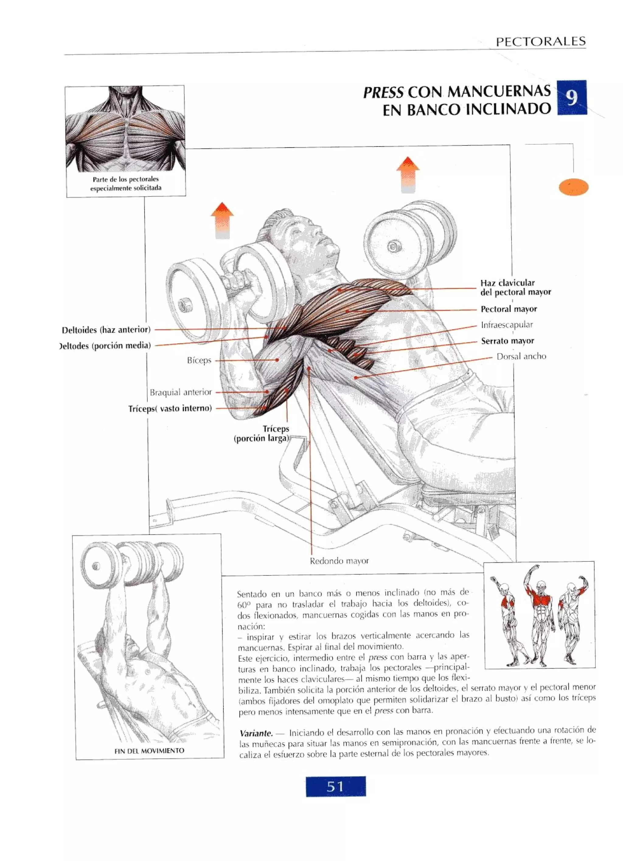 Libro de musculacion