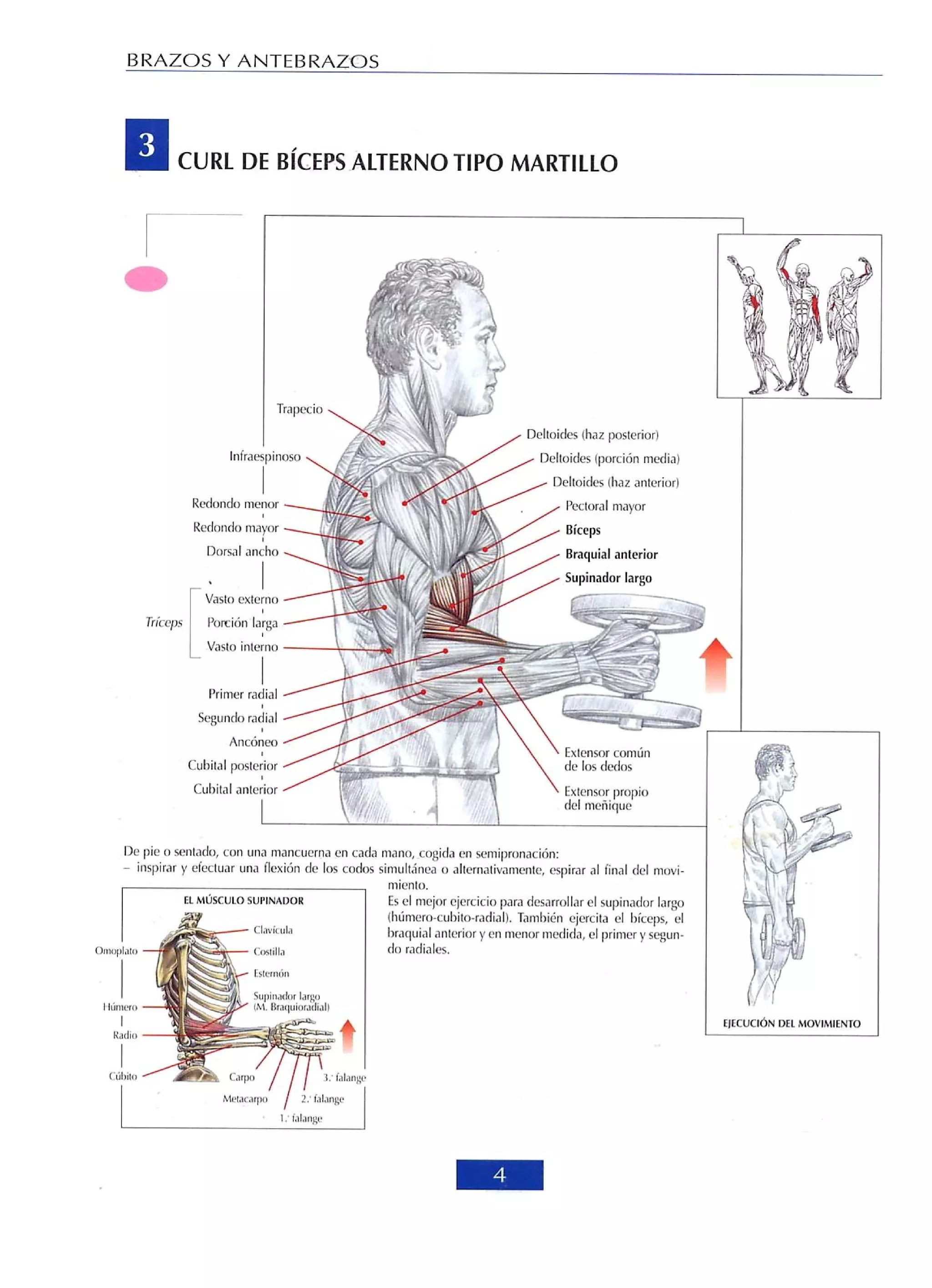 Libro de musculacion