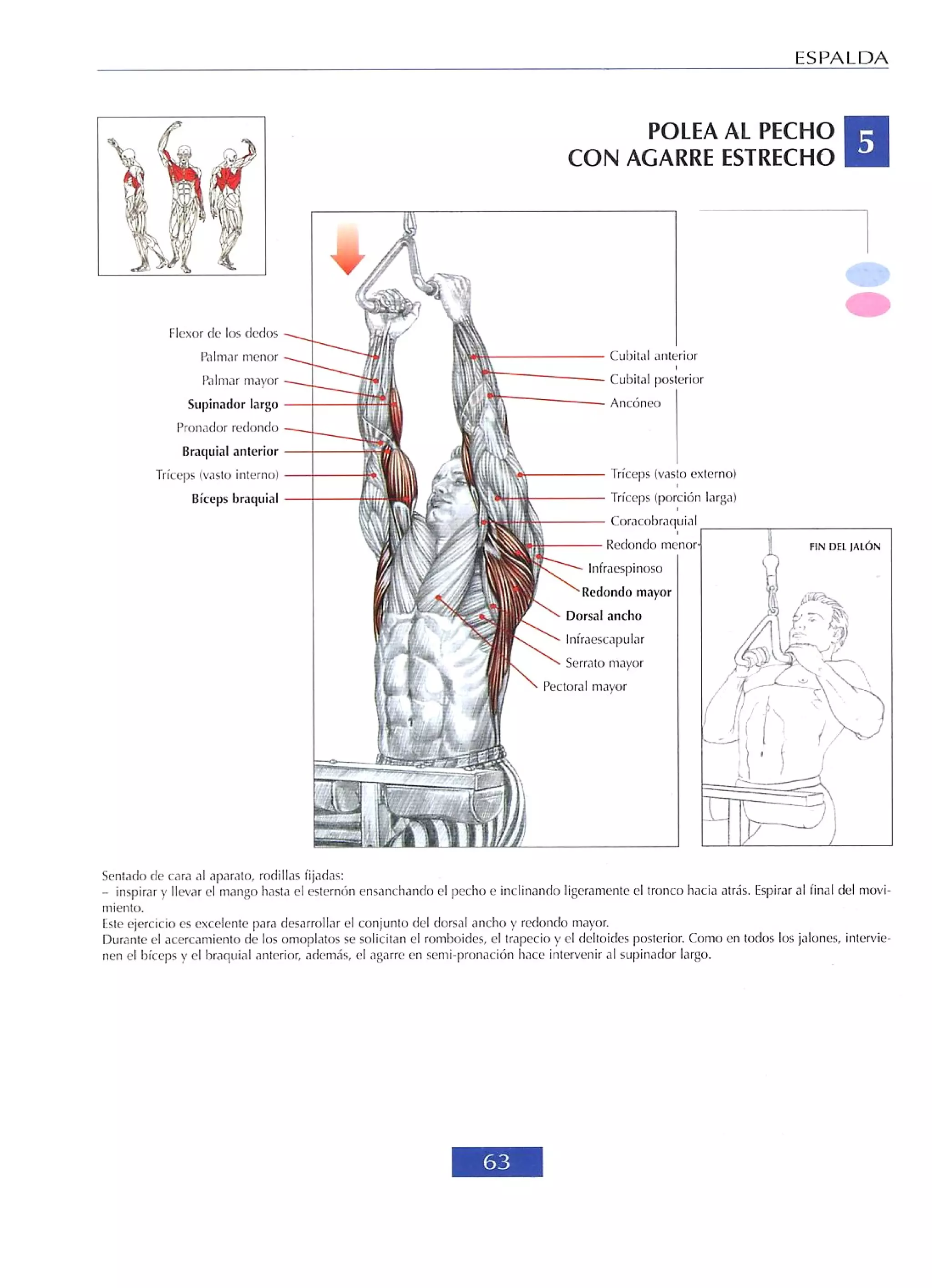 Libro de musculacion