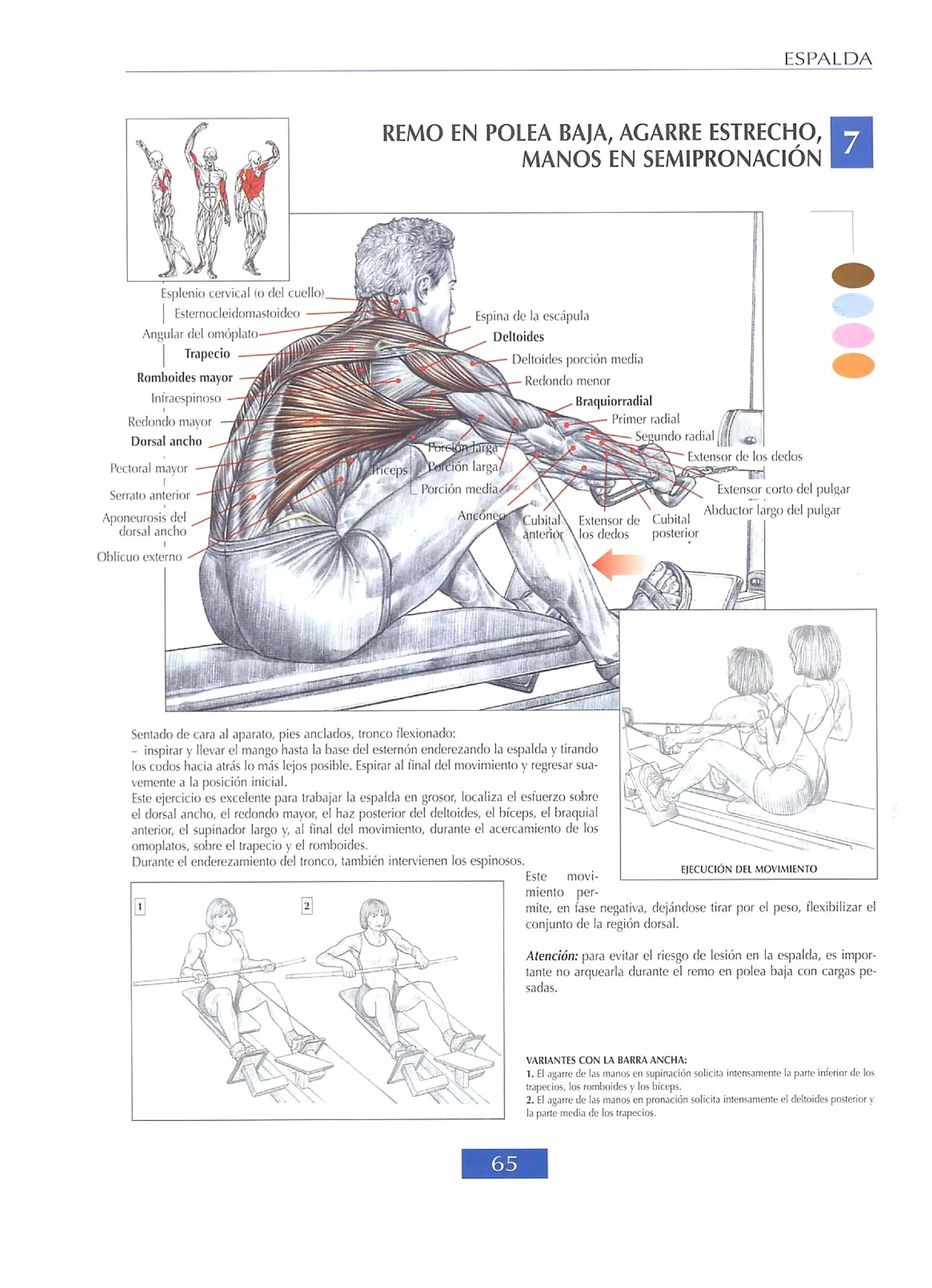 Libro de musculacion
