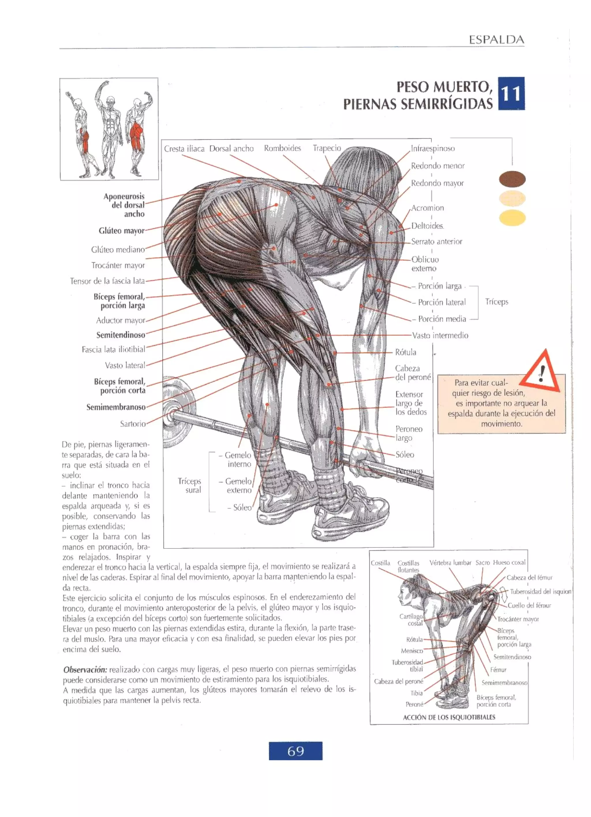 Libro de musculacion