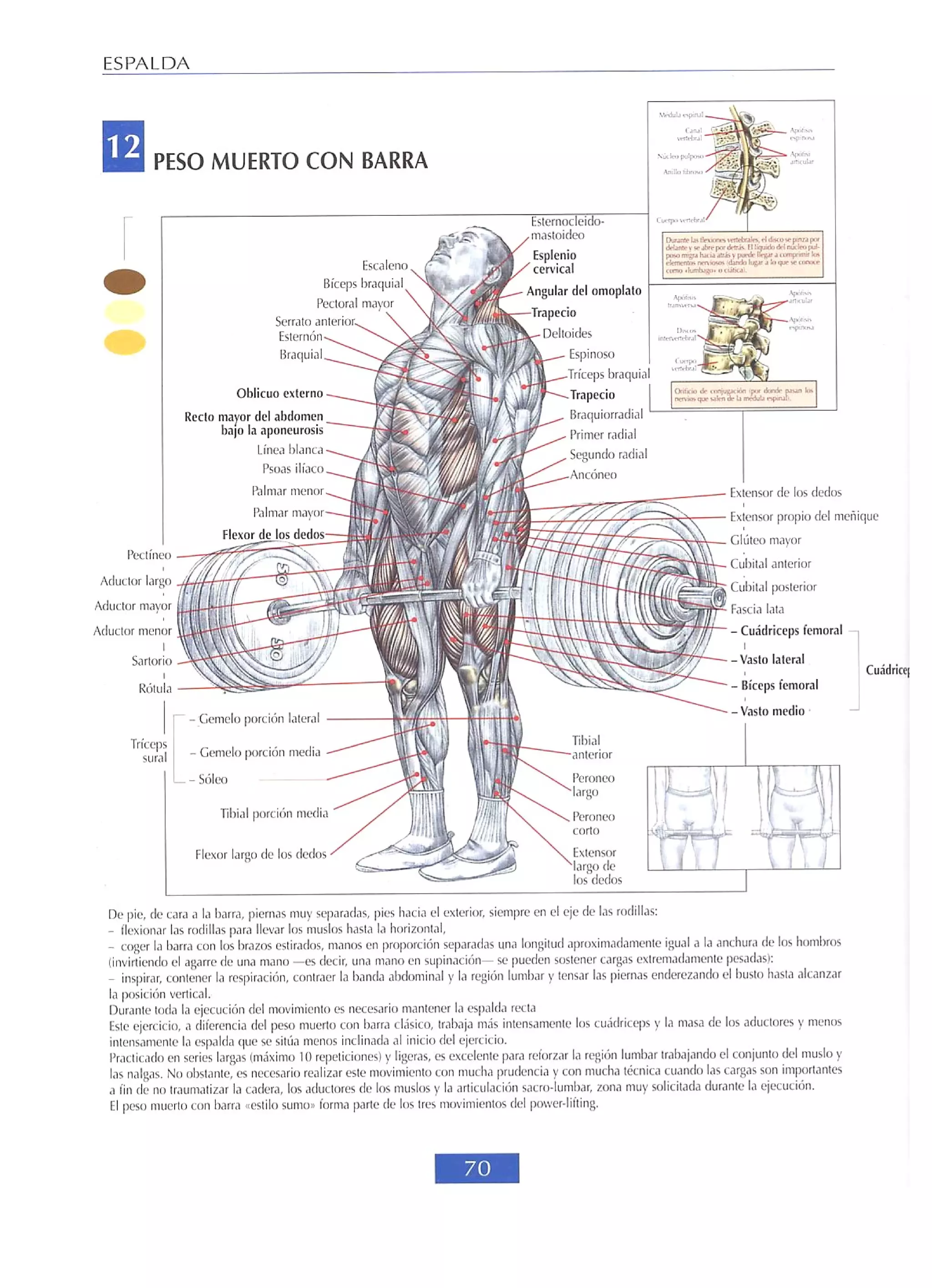 Libro de musculacion