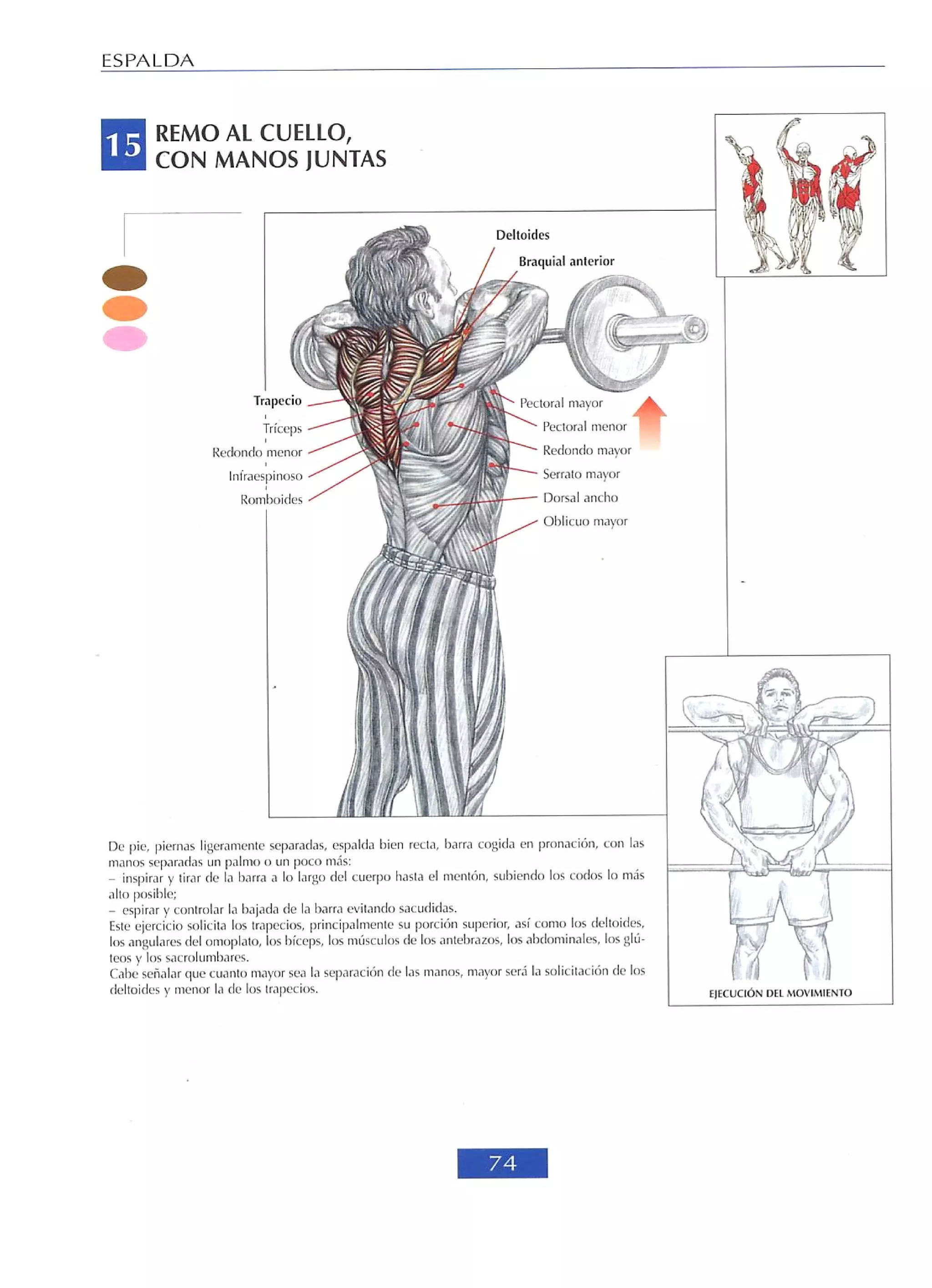 Libro de musculacion