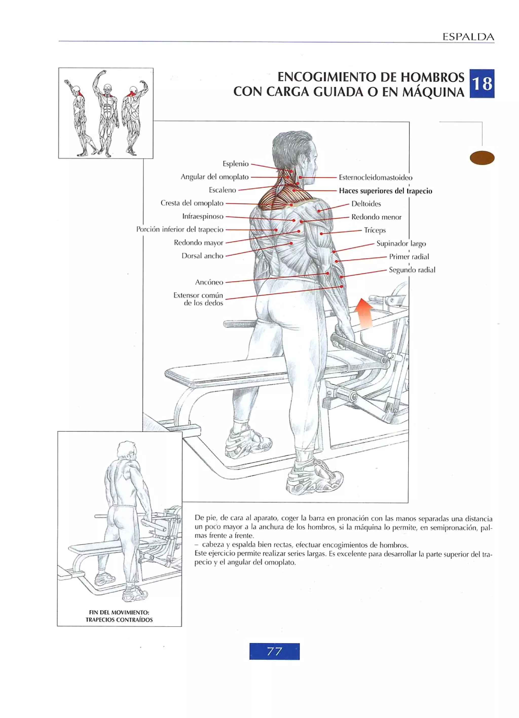 Libro de musculacion