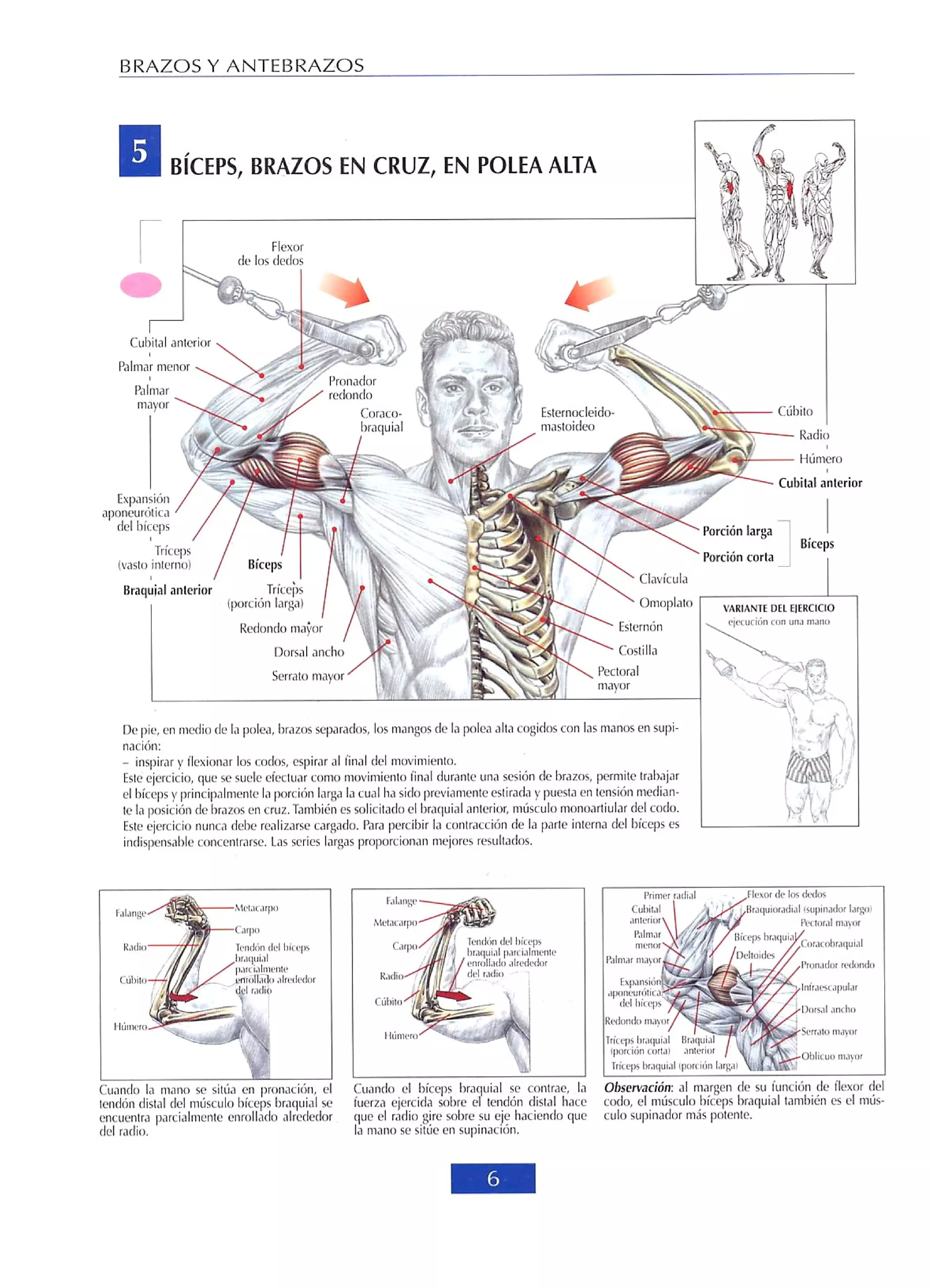 Libro de musculacion