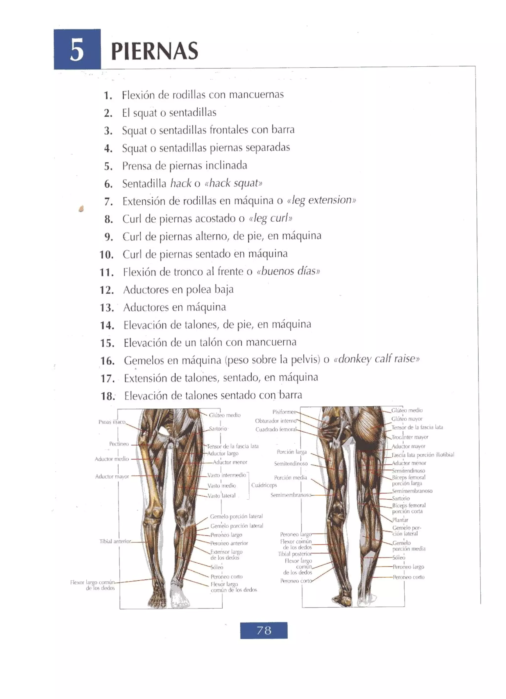 Libro de musculacion