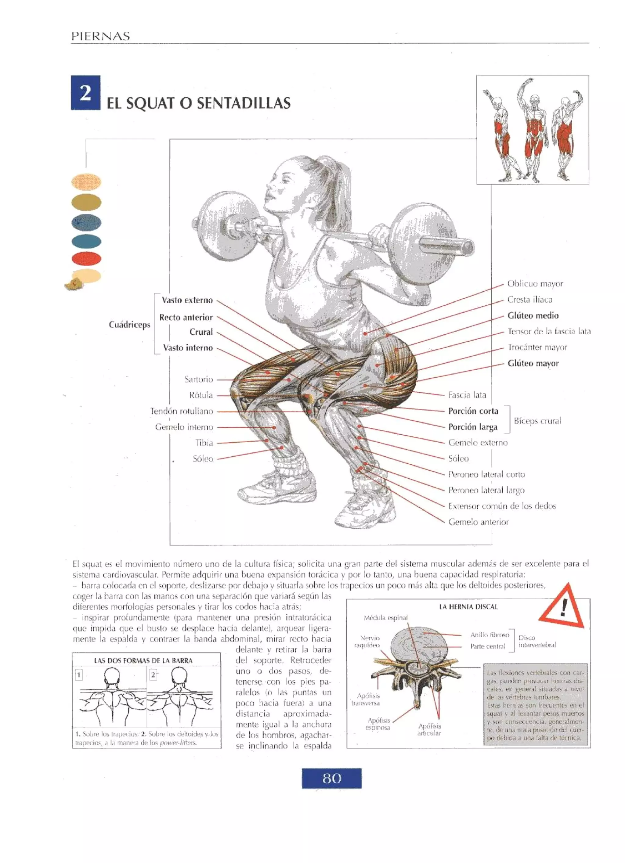 Libro de musculacion