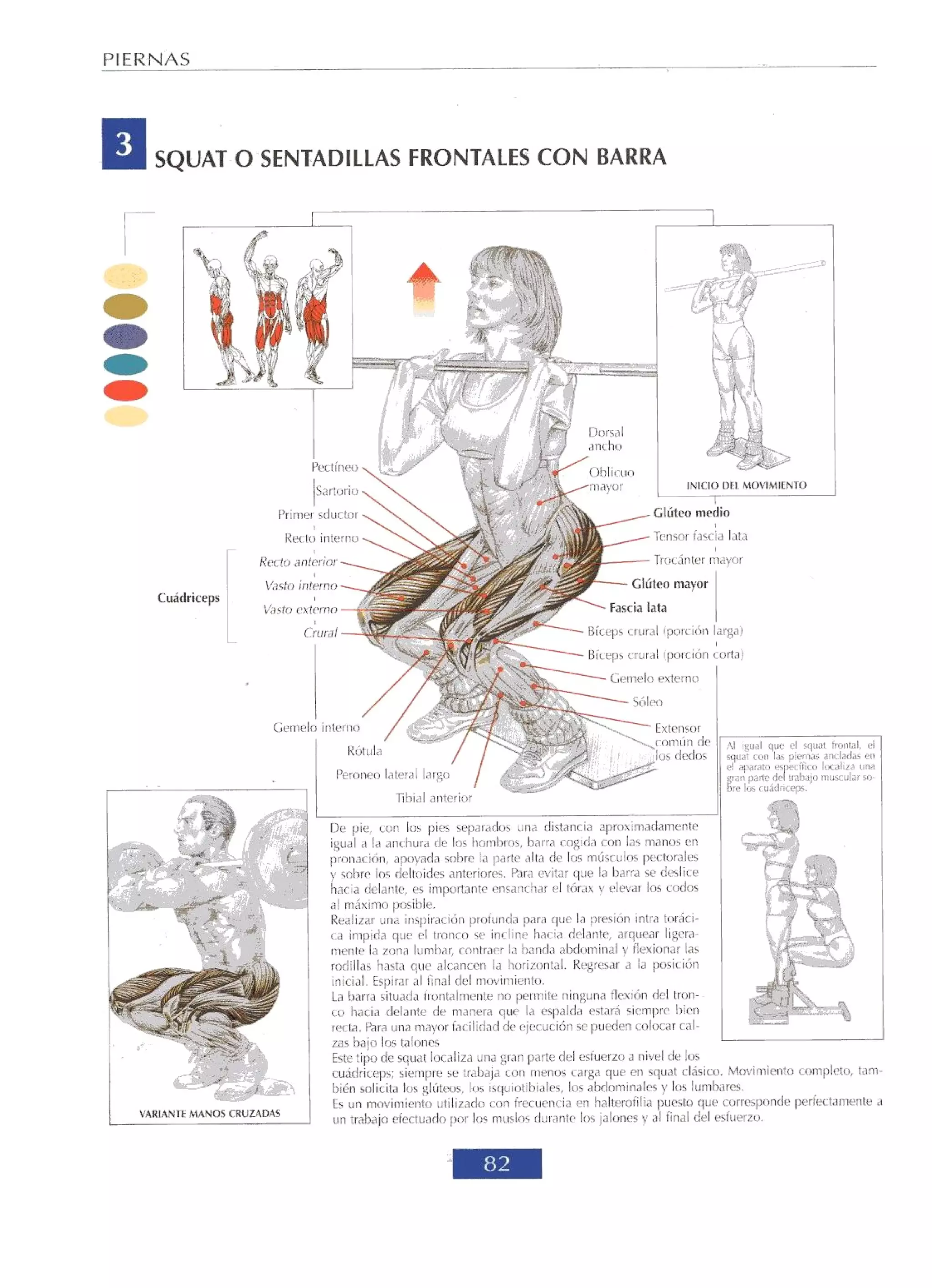 Libro de musculacion