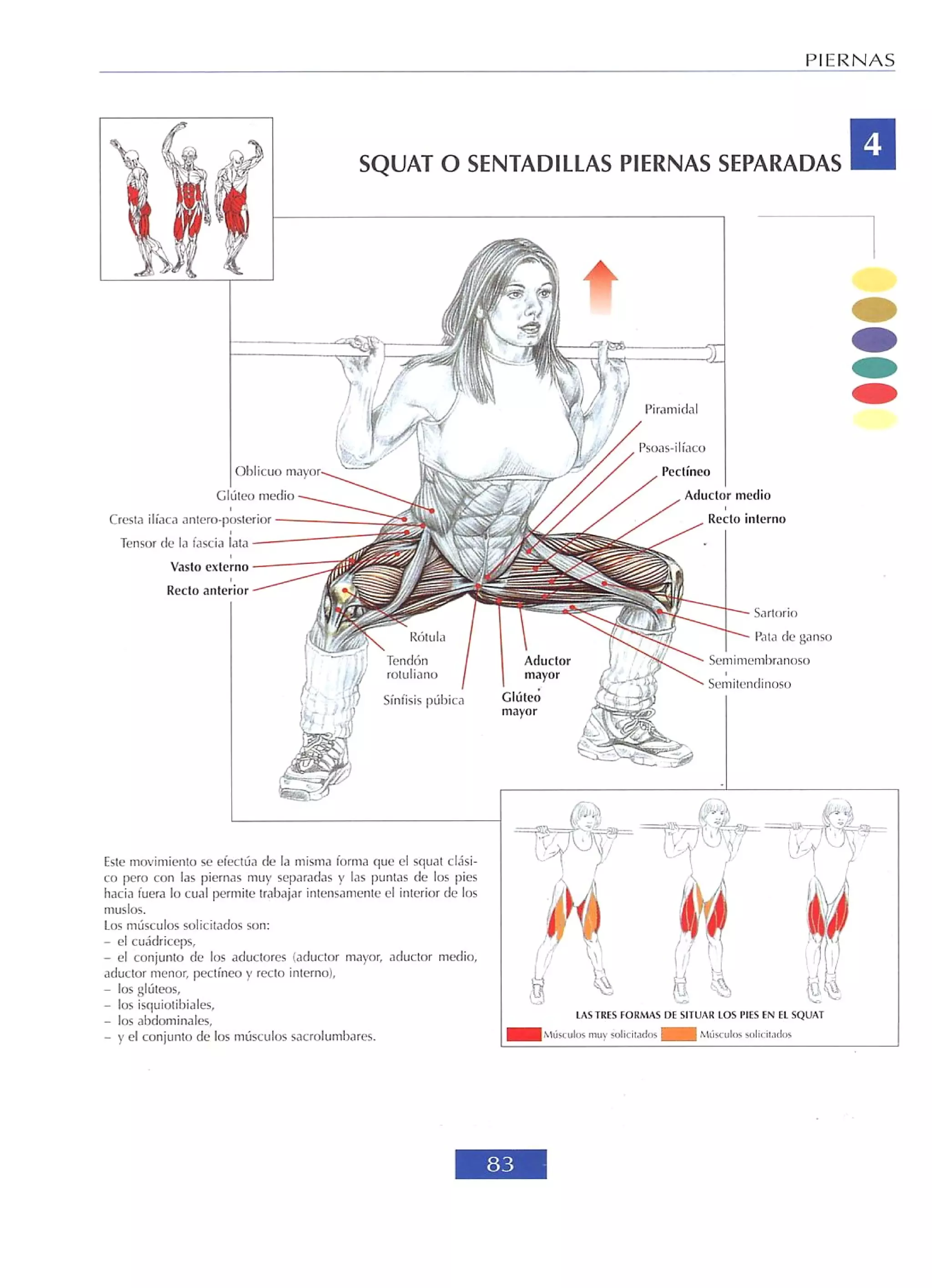 Libro de musculacion