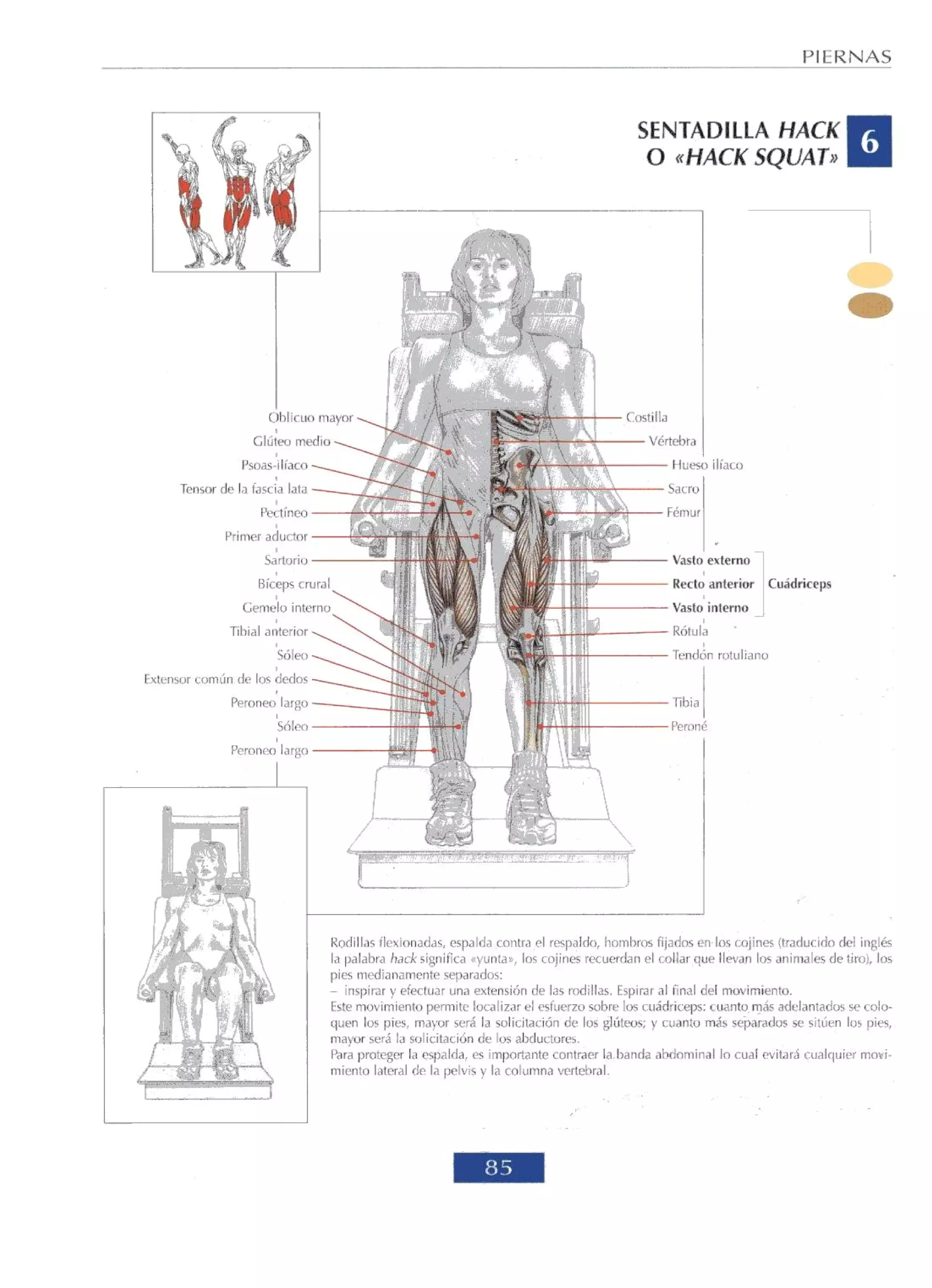 Libro de musculacion