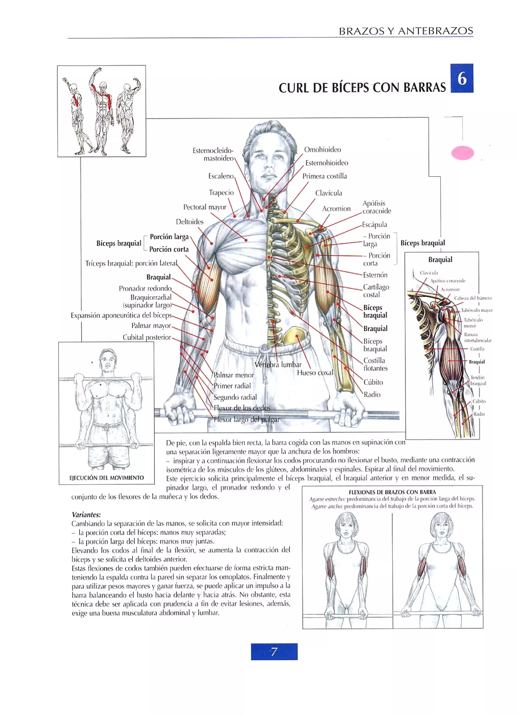 Libro de musculacion