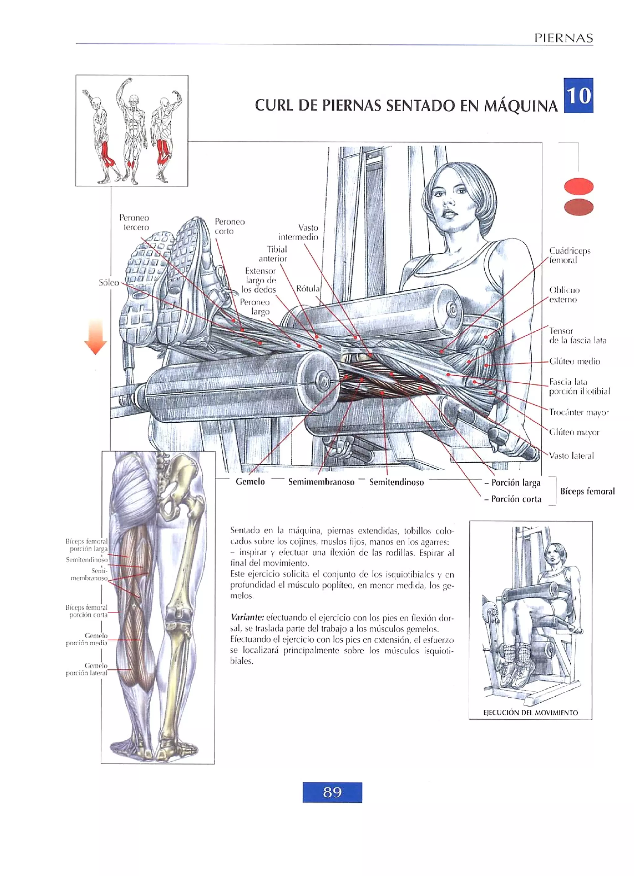 Libro de musculacion