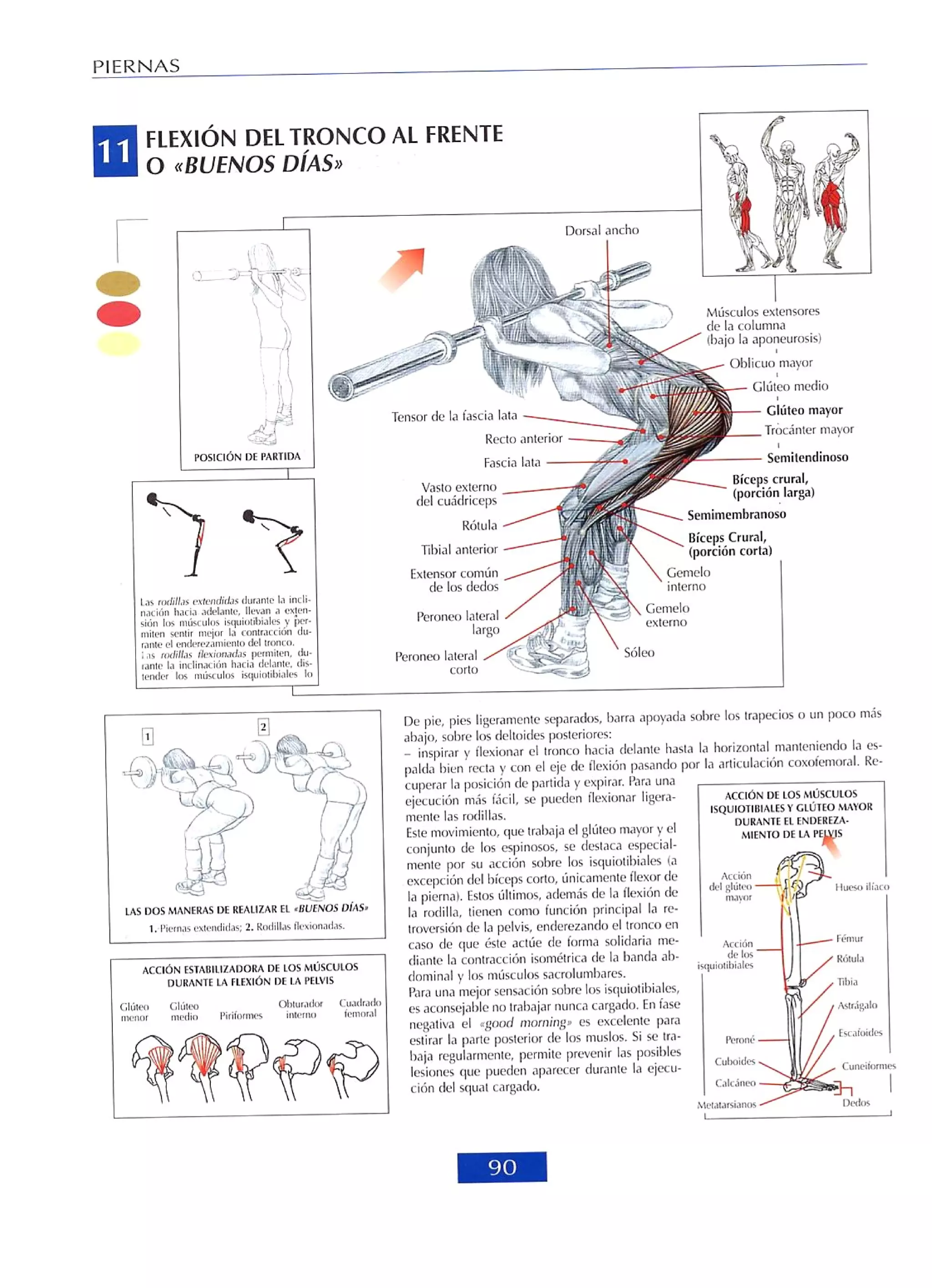 Libro de musculacion