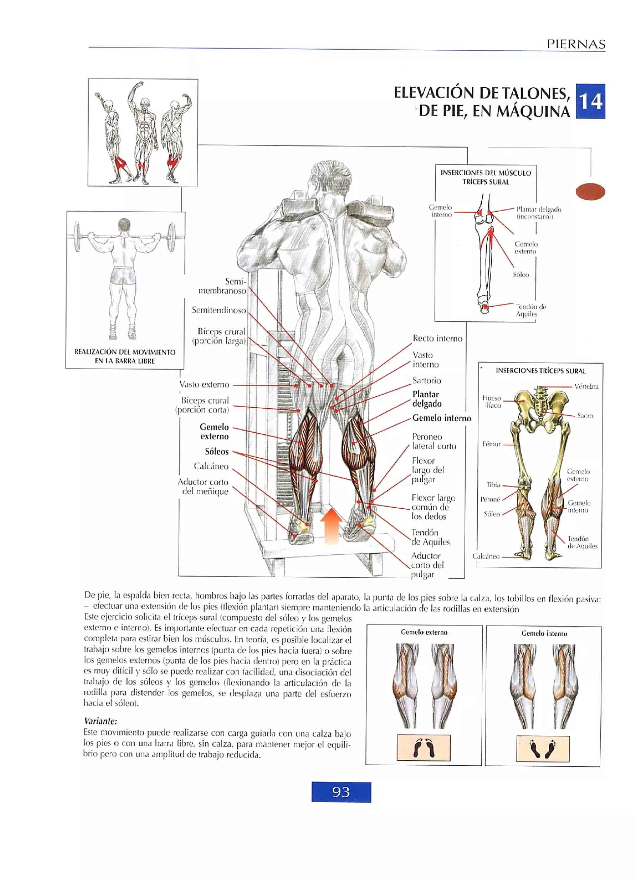 Libro de musculacion