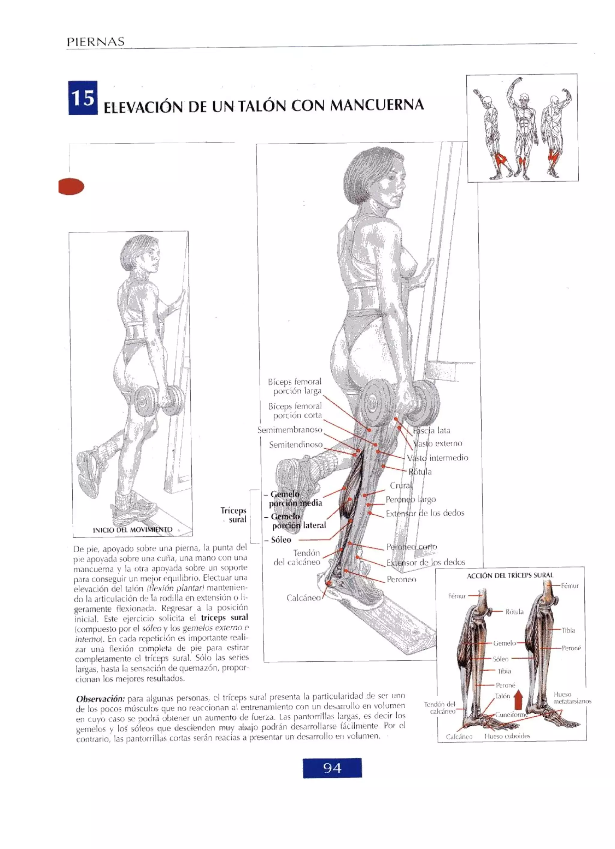 Libro de musculacion