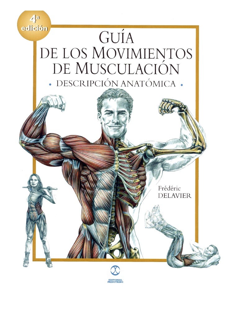 Guia de entrenamiento tapout pdf
