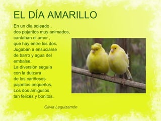EL DÍA AMARILLO
En un día soleado ,
dos pajaritos muy animados,
cantaban el amor ,
que hay entre los dos.
Jugaban a ensuciarse
de barro y agua del
embalse.
La diversión seguía
con la dulzura
de los cariñosos
pajaritos pequeños.
Los dos amiguitos
tan felices y bonitos.

              Olivia Leguizamón
 