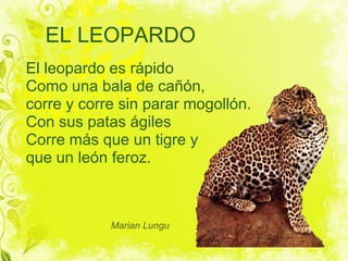 EL LEOPARDO
El leopardo es rápido
Como una bala de cañón,
corre y corre sin parar mogollón.
Con sus patas ágiles
Corre más que un tigre y
que un león feroz.



            Marian Lungu
 