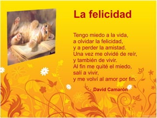 La felicidad
Tengo miedo a la vida,
a olvidar la felicidad,
y a perder la amistad.
Una vez me olvidé de reír,
y también de vivir.
Al fin me quité el miedo,
salí a vivir,
y me volví al amor por fin.
        David Camarón
 