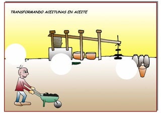 TRANSFORMANDO ACEITUNAS EN ACEITE
 