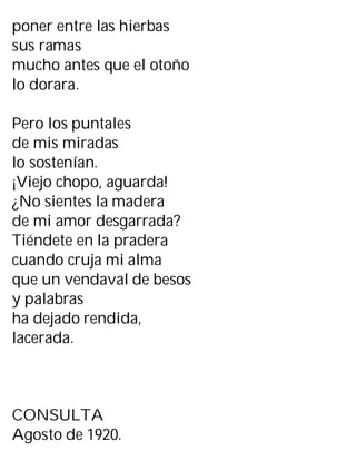poner entre las hierbas
sus ramas
mucho antes que el otoño
lo dorara.
Pero los puntales
de mis miradas
lo sostenían.
¡Viejo chopo, aguarda!
¿No sientes la madera
de mi amor desgarrada?
Tiéndete en la pradera
cuando cruja mi alma
que un vendaval de besos
y palabras
ha dejado rendida,
lacerada.
CONSULTA
Agosto de 1920.
 