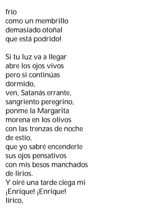 frío
como un membrillo
demasiado otoñal
que está podrido!
Si tu luz va a llegar
abre los ojos vivos
pero si continúas
dormido,
ven, Satanás errante,
sangriento peregrino,
ponme la Margarita
morena en los olivos
con las trenzas de noche
de estío,
que yo sabré encenderle
sus ojos pensativos
con mis besos manchados
de lirios.
Y oiré una tarde ciega mi
¡Enrique! ¡Enrique!
lírico,
 