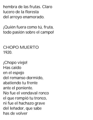 hembra de las frutas. Claro
lucero de la floresta
del arroyo enamorado.
¡Quién fuera como tú, fruta,
todo pasión sobre el campo!
CHOPO MUERTO
1920.
¡Chopo viejo!
Has caído
en el espejo
del remanso dormido,
abatiendo tu frente
ante el poniente.
No fue el vendaval ronco
el que rompió tu tronco,
ni fue el hachazo grave
del leñador, que sabe
has de volver
 