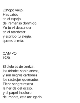 ¡Chopo viejo!
Has caído
en el espejo
del remanso dormido.
Yo to vi descender
en el atardecer
y escribo tu elegía,
que es la mía.
CAMPO
1920.
El cielo es de ceniza,
los árboles son blancos,
y son negros carbones
los rastrojos quemados.
Tiene sangre reseca
la herida del ocaso,
y el papel incoloro
del monte, está arrugado.
 