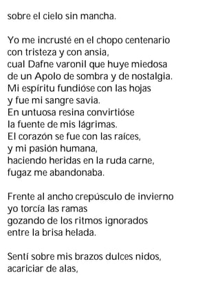 sobre el cielo sin mancha.
Yo me incrusté en el chopo centenario
con tristeza y con ansia,
cual Dafne varonil que huye miedosa
de un Apolo de sombra y de nostalgia.
Mi espíritu fundióse con las hojas
y fue mi sangre savia.
En untuosa resina convirtióse
la fuente de mis lágrimas.
El corazón se fue con las raíces,
y mi pasión humana,
haciendo heridas en la ruda carne,
fugaz me abandonaba.
Frente al ancho crepúsculo de invierno
yo torcía las ramas
gozando de los ritmos ignorados
entre la brisa helada.
Sentí sobre mis brazos dulces nidos,
acariciar de alas,
 