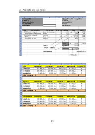 2. Aspecto de las hojas
13
 