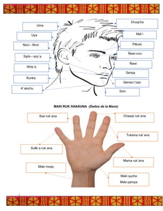 MAKI RUK´ANAKUNA (Dedos de la Mano)
Mat´i
Chuqcha
Pillurki
Simi
Qensa t´oqo
Senqa
Ñawi
Ñawi ruru
Uma
Uya
Ninri - Rinri
Siphi - sirp´a
Wirp´a
Wirp´a
Kunka
Sullk´a ruk´ana
Maki moqo
Chawpi ruk´ana
Siwi ruk´ana
Tuksina ruk´ana
Mama ruk´ana
Maki qucha
Maki pampa
K´akichu
 