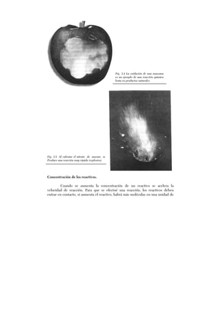 Fig. 3.5 Al calentar el nitrato de amonio se
Produce una reacción muy rápida (explosiva).
Concentración de los reactivos.
Cuando se aumenta la concentración de un reactivo se acelera la
velocidad de reacción. Para que se efectué una reacción, los reactivos deben
entrar en contacto, si aumenta el reactivo, habrá más moléculas en una unidad de
Fig. 3.4 La oxidación de una manzana
es un ejemplo de una reacción química
lenta en productos naturales.
 