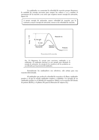 Un catalizador va a aumentar la velocidad de reacción porque disminuye
la cantidad de energía necesaria para romper los enlaces o va a cambiar el
mecanismo de la reacción a un curso que requiera menor energía de activación,
figura 3.9.
Normalmente los catalizadores son selectivos, solo actúan para una
reacción determinada.
Al catalizador que acelera la velocidad de reacción se le llama, catalizador
positivo y al que la retarda catalizador negativo o inhibidor. Un ejemplo de un
catalizador positivo es el dióxido de manganeso (MnO2) en la reacción del clorato
de potasio (KClO3) y el platino (Pt) para la obtención de oxígeno (O2).
Ea (no cat)
Ea (cat)
Reacción no
Reactantes
Reacción
catalizada
Energ
ía
Trayectoria de la reacción
Producto
Fig. 3.9 Diagramas de energía para reacciones catalizadas y no
catalizadas. El catalizador funciona en este ejemplo para disminuir la
energía de activación. La energía de los reactivos y de los productos no
son alterados por la presencia del catalizador.
A menor energía de activación, mayor velocidad de reacción, por lo
contrario a mayor energía de activación, menor es la velocidad de reacción.
 