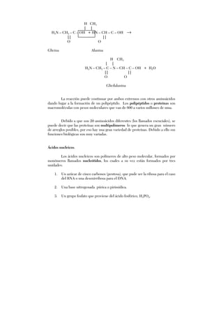 H CH3
| |
H2N – CH2 – C – OH + HN – CH – C – OH →
|| ||
O O
Glicina Alanina
H CH3
| |
H2N – CH2 – C – N – CH – C – OH + H2O
|| ||
O O
Glicilalanina
La reacción puede continuar por ambos extremos con otros aminoácidos
dando lugar a la formación de un polipéptido. Los polipéptidos o proteínas son
macromoléculas con pesos moleculares que van de 600 a varios millones de uma.
Debido a que son 20 aminoácidos diferentes (los llamados esenciales), se
puede decir que las proteínas son multipolímeros lo que genera un gran número
de arreglos posibles, por eso hay una gran variedad de proteínas. Debido a ello sus
funciones biológicas son muy variadas.
Ácidos nucleicos.
Los ácidos nucleicos son polímeros de alto peso molecular, formados por
monómeros llamados nucleótidos, los cuales a su vez están formados por tres
unidades:
1. Un azúcar de cinco carbonos (pentosa), que pude ser la ribosa para el caso
del RNA o una desoxirribosa para el DNA.
2. Una base nitrogenada púrica o pirimídica.
3. Un grupo fosfato que proviene del ácido fosfórico, H3PO4.
 