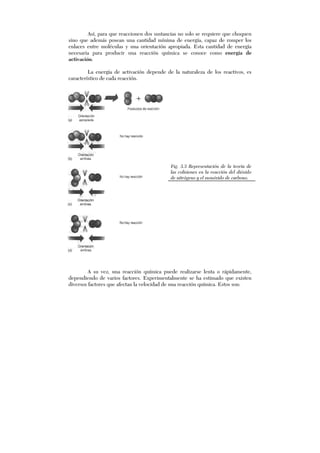 Así, para que reaccionen dos sustancias no solo se requiere que choquen
sino que además posean una cantidad mínima de energía, capaz de romper los
enlaces entre moléculas y una orientación apropiada. Esta cantidad de energía
necesaria para producir una reacción química se conoce como energía de
activación.
La energía de activación depende de la naturaleza de los reactivos, es
característico de cada reacción.
Fig. 3.3 Representación de la teoría de
las colisiones en la reacción del dióxido
de nitrógeno y el monóxido de carbono.
A su vez, una reacción química puede realizarse lenta o rápidamente,
dependiendo de varios factores. Experimentalmente se ha estimado que existen
diversos factores que afectan la velocidad de una reacción química. Estos son:
 