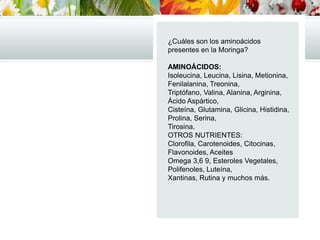 ¿Cuáles son los aminoácidos
presentes en la Moringa?
AMINOÁCIDOS:
Isoleucina, Leucina, Lisina, Metionina,
Fenilalanina, Treonina,
Triptófano, Valina, Alanina, Arginina,
Ácido Aspártico,
Cisteína, Glutamina, Glicina, Histidina,
Prolina, Serina,
Tirosina.
OTROS NUTRIENTES:
Clorofila, Carotenoides, Citocinas,
Flavonoides, Aceites
Omega 3,6 9, Esteroles Vegetales,
Polifenoles, Luteína,
Xantinas, Rutina y muchos más.
 