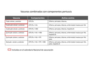 Vacuna Componentes Activa contra
Triple celular y acelular DTP/Pa Difteria, pertussis, tétanos,
Cuádruple celular y aclelular DTP/Pa + Hib Difteria, pertussis, tétanos, enfermedad invasiva por Hib
Cuádruple celular y aclelular DTP/Pa + HBV Difteria, pertussis, tétanos, hepatitis B
Quíntuple celular y aclelular DTP/Pa + Hib + HBV Difteria, pertussis, tétanos, enfermedad invasiva por Hib,
hepatitis B
Quíntuple celular y aclelular DTP/Pa + Hib + IPV Difteria, pertussis, tétanos, enfermedad invasiva por Hib,
polio
Sextuple celular y aclelular DTP/Pa + Hib + IPV + HBV Difteria, pertussis, tétanos, enfermedad invasiva por Hib,
polio, hepatitis B
Vacunas combinadas con componentes pertussis
Incluidas en el calendario Nacional de vacunación
 