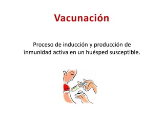 Proceso de inducción y producción de
inmunidad activa en un huésped susceptible.
 