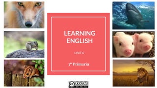 LEARNING
ENGLISH
3º Primaria
UNIT 6
 
