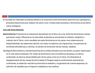 El reciclaje de materiales se efectúa debido a la conjunción entre fenómenos astronómicos, geológicos y
procesos bioquímicos que realizan los seres vivos. A todos estos procesos y fenómenos se les llama
ciclos ecológicos.
CICLOS ECOLÓGICOS
Astronómicos Producto de la interacción del planeta con el Sol y la Luna. Entre los fenómenos cíclicos
que tienen mayor influencia en la vida sobre el planeta se encuentran la rotación, traslación y
nutación de la Tierra; como resultado de estos fenómenos en los seres vivos observamos la
fotoperiodicidad, las estaciones del año, los ciclos circadianos, las migraciones, los patrones de
corrientes atmosféricas y marinas, el cambio de dimensión de las mareas, etcétera.
Geológicos Movimientos y transformaciones de la corteza terrestre que han tenido una gran repercusión
en la vida sobre el planeta. Por medio de fenómenos como la tectónica de placas y la deriva
continental, se tiene la actual distribución de los seres vivos en la Tierra. Al enfrentarse al
desplazamiento de las masas de tierra desde el Pangea hasta la conformación actual de los
continentes, la selección natural ha promovido el rediseño y surgimiento de nuevas especies y la
extinción de aquéllas que no lograron adaptarse a los cambios.
 