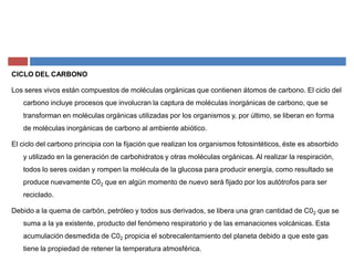 CICLO DEL CARBONO
Los seres vivos están compuestos de moléculas orgánicas que contienen átomos de carbono. El ciclo del
carbono incluye procesos que involucran la captura de moléculas inorgánicas de carbono, que se
transforman en moléculas orgánicas utilizadas por los organismos y, por último, se liberan en forma
de moléculas inorgánicas de carbono al ambiente abiótico.
El ciclo del carbono principia con la fijación que realizan los organismos fotosintéticos, éste es absorbido
y utilizado en la generación de carbohidratos y otras moléculas orgánicas. Al realizar la respiración,
todos lo seres oxidan y rompen la molécula de la glucosa para producir energía, como resultado se
produce nuevamente C02 que en algún momento de nuevo será fijado por los autótrofos para ser
reciclado.
Debido a la quema de carbón, petróleo y todos sus derivados, se libera una gran cantidad de C02 que se
suma a la ya existente, producto del fenómeno respiratorio y de las emanaciones volcánicas. Esta
acumulación desmedida de C02 propicia el sobrecalentamiento del planeta debido a que este gas
tiene la propiedad de retener la temperatura atmosférica.
 