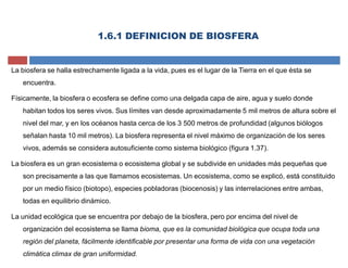1.6.1 DEFINICION DE BIOSFERA
La biosfera se halla estrechamente ligada a la vida, pues es el lugar de la Tierra en el que ésta se
encuentra.
Físicamente, la biosfera o ecosfera se define como una delgada capa de aire, agua y suelo donde
habitan todos los seres vivos. Sus límites van desde aproximadamente 5 mil metros de altura sobre el
nivel del mar, y en los océanos hasta cerca de los 3 500 metros de profundidad (algunos biólogos
señalan hasta 10 mil metros). La biosfera representa el nivel máximo de organización de los seres
vivos, además se considera autosuficiente como sistema biológico (figura 1.37).
La biosfera es un gran ecosistema o ecosistema global y se subdivide en unidades más pequeñas que
son precisamente a las que llamamos ecosistemas. Un ecosistema, como se explicó, está constituido
por un medio físico (biotopo), especies pobladoras (biocenosis) y las interrelaciones entre ambas,
todas en equilibrio dinámico.
La unidad ecológica que se encuentra por debajo de la biosfera, pero por encima del nivel de
organización del ecosistema se llama bioma, que es la comunidad biológica que ocupa toda una
región del planeta, fácilmente identificable por presentar una forma de vida con una vegetación
climática climax de gran uniformidad.
 
