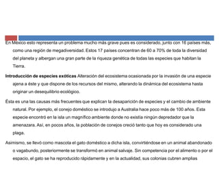 En México esto representa un problema mucho más grave pues es considerado, junto con 16 países más,
como una región de megadiversidad. Estos 17 países concentran de 60 a 70% de toda la diversidad
del planeta y albergan una gran parte de la riqueza genética de todas las especies que habitan la
Tierra.
Introducción de especies exóticas Alteración del ecosistema ocasionada por la invasión de una especie
ajena a éste y que dispone de los recursos del mismo, alterando la dinámica del ecosistema hasta
originar un desequilibrio ecológico.
Ésta es una las causas más frecuentes que explican la desaparición de especies y el cambio de ambiente
natural. Por ejemplo, el conejo doméstico se introdujo a Australia hace poco más de 100 años. Esta
especie encontró en la isla un magnífico ambiente donde no existía ningún depredador que la
amenazara. Así, en pocos años, la población de conejos creció tanto que hoy es considerado una
plaga.
Asimismo, se llevó como mascota el gato doméstico a dicha isla, convirtiéndose en un animal abandonado
o vagabundo, posteriormente se transformó en animal salvaje. Sin competencia por el alimento o por el
espacio, el gato se ha reproducido rápidamente y en la actualidad, sus colonias cubren amplias
 