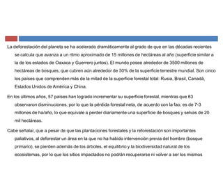 La deforestación del planeta se ha acelerado dramáticamente al grado de que en las décadas recientes
se calcula que avanza a un ritmo aproximado de 15 millones de hectáreas al año (superficie similar a
la de los estados de Oaxaca y Guerrero juntos). El mundo posee alrededor de 3500 millones de
hectáreas de bosques, que cubren aún alrededor de 30% de la superficie terrestre mundial. Son cinco
los países que comprenden más de la mitad de la superficie forestal total: Rusia, Brasil, Canadá,
Estados Unidos de América y China.
En los últimos años, 57 países han logrado incrementar su superficie forestal, mientras que 83
observaron disminuciones, por lo que la pérdida forestal neta, de acuerdo con la fao, es de 7-3
millones de ha/año, lo que equivale a perder diariamente una superficie de bosques y selvas de 20
mil hectáreas.
Cabe señalar, que a pesar de que las plantaciones forestales y la reforestación son importantes
paliativos, al deforestar un área en la que no ha habido intervención previa del hombre (bosque
primario), se pierden además de los árboles, el equilibrio y la biodiversidad natural de los
ecosistemas, por lo que los sitios impactados no podrán recuperarse ni volver a ser los mismos
 