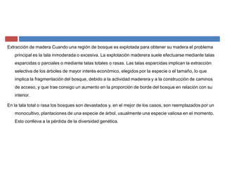 Extracción de madera Cuando una región de bosque es explotada para obtener su madera el problema
principal es la tala inmoderada o excesiva. La explotación maderera suele efectuarse mediante talas
esparcidas o parciales o mediante talas totales o rasas. Las talas esparcidas implican la extracción
selectiva de los árboles de mayor interés económico, elegidos por la especie o el tamaño, lo que
implica la fragmentación del bosque, debido a la actividad maderera y a la construcción de caminos
de acceso, y que trae consigo un aumento en la proporción de borde del bosque en relación con su
interior.
En la tala total o rasa los bosques son devastados y, en el mejor de los casos, son reemplazados por un
monocultivo, plantaciones de una especie de árbol, usualmente una especie valiosa en el momento.
Esto conlleva a la pérdida de la diversidad genética.
 