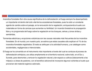 Incendios forestales Son otra causa significativa de la deforestación; el fuego siempre ha desempeñado
un importante rol dentro del ciclo vital de los ecosistemas forestales, pues ha sido un constante
agente de cambio sobre el paisaje, en la renovación de la vegetación, enriqueciendo el suelo con
materiales en forma de cenizas que aumentan su fertilidad. Un incendio forestal es la propagación
libre y no programada del fuego sobre la vegetación en los bosques, selvas y zonas áridas y
semiáridas.
Tormentas eléctricas y erupciones volcánicas son las causas naturales más frecuentes de los incendios
forestales. En el mundo y en nuestro país, se estima que estas causales sólo explican el 1% de los
incendios forestales registrados. El resto se atribuyen a la actividad humana, y se catalogan como
accidentales, negligencias o intencionales.
El fuego se ha convertido en el instrumento más importante a través del cual se conduce el proceso de
deforestación antrópica y se utiliza ampliamente en el territorio nacional, sobre todo, en el Sur y
Sureste, para desmontar y remover la vegetación natural y dar espacio a cultivos (básicamente a las
milpas) o a áreas de pastoreo, con el beneficio adicional de incorporar algunos nutrientes al suelo que
provienen del material orgánico calcinado.
 