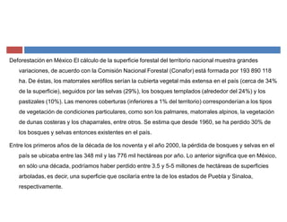Deforestación en México El cálculo de la superficie forestal del territorio nacional muestra grandes
variaciones, de acuerdo con la Comisión Nacional Forestal (Conafor) está formada por 193 890 118
ha. De éstas, los matorrales xerófilos serían la cubierta vegetal más extensa en el país (cerca de 34%
de la superficie), seguidos por las selvas (29%), los bosques templados (alrededor del 24%) y los
pastizales (10%). Las menores coberturas (inferiores a 1% del territorio) corresponderían a los tipos
de vegetación de condiciones particulares, como son los palmares, matorrales alpinos, la vegetación
de dunas costeras y los chaparrales, entre otros. Se estima que desde 1960, se ha perdido 30% de
los bosques y selvas entonces existentes en el país.
Entre los primeros años de la década de los noventa y el año 2000, la pérdida de bosques y selvas en el
país se ubicaba entre las 348 mil y las 776 mil hectáreas por año. Lo anterior significa que en México,
en sólo una década, podríamos haber perdido entre 3.5 y 5-5 millones de hectáreas de superficies
arboladas, es decir, una superficie que oscilaría entre la de los estados de Puebla y Sinaloa,
respectivamente.
 