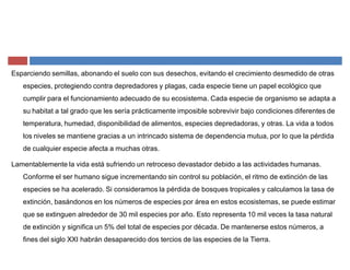 Esparciendo semillas, abonando el suelo con sus desechos, evitando el crecimiento desmedido de otras
especies, protegiendo contra depredadores y plagas, cada especie tiene un papel ecológico que
cumplir para el funcionamiento adecuado de su ecosistema. Cada especie de organismo se adapta a
su habitat a tal grado que les sería prácticamente imposible sobrevivir bajo condiciones diferentes de
temperatura, humedad, disponibilidad de alimentos, especies depredadoras, y otras. La vida a todos
los niveles se mantiene gracias a un intrincado sistema de dependencia mutua, por lo que la pérdida
de cualquier especie afecta a muchas otras.
Lamentablemente la vida está sufriendo un retroceso devastador debido a las actividades humanas.
Conforme el ser humano sigue incrementando sin control su población, el ritmo de extinción de las
especies se ha acelerado. Si consideramos la pérdida de bosques tropicales y calculamos la tasa de
extinción, basándonos en los números de especies por área en estos ecosistemas, se puede estimar
que se extinguen alrededor de 30 mil especies por año. Esto representa 10 mil veces la tasa natural
de extinción y significa un 5% del total de especies por década. De mantenerse estos números, a
fines del siglo XXI habrán desaparecido dos tercios de las especies de la Tierra.
 