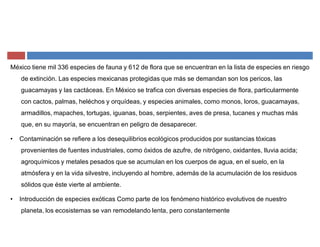 México tiene mil 336 especies de fauna y 612 de flora que se encuentran en la lista de especies en riesgo
de extinción. Las especies mexicanas protegidas que más se demandan son los pericos, las
guacamayas y las cactáceas. En México se trafica con diversas especies de flora, particularmente
con cactos, palmas, heléchos y orquídeas, y especies animales, como monos, loros, guacamayas,
armadillos, mapaches, tortugas, iguanas, boas, serpientes, aves de presa, tucanes y muchas más
que, en su mayoría, se encuentran en peligro de desaparecer.
‡ Contaminación se refiere a los desequilibrios ecológicos producidos por sustancias tóxicas
provenientes de fuentes industriales, como óxidos de azufre, de nitrógeno, oxidantes, lluvia acida;
agroquímicos y metales pesados que se acumulan en los cuerpos de agua, en el suelo, en la
atmósfera y en la vida silvestre, incluyendo al hombre, además de la acumulación de los residuos
sólidos que éste vierte al ambiente.
‡ Introducción de especies exóticas Como parte de los fenómeno histórico evolutivos de nuestro
planeta, los ecosistemas se van remodelando lenta, pero constantemente
 