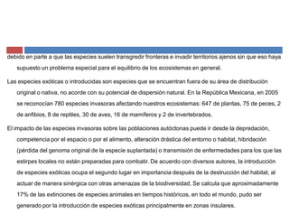 debido en parte a que las especies suelen transgredir fronteras e invadir territorios ajenos sin que eso haya
supuesto un problema especial para el equilibrio de los ecosistemas en general.
Las especies exóticas o introducidas son especies que se encuentran fuera de su área de distribución
original o nativa, no acorde con su potencial de dispersión natural. En la República Mexicana, en 2005
se reconocían 780 especies invasoras afectando nuestros ecosistemas: 647 de plantas, 75 de peces, 2
de anfibios, 8 de reptiles, 30 de aves, 16 de mamíferos y 2 de invertebrados.
El impacto de las especies invasoras sobre las poblaciones autóctonas puede ir desde la depredación,
competencia por el espacio o por el alimento, alteración drástica del entorno o habitat, hibridación
(pérdida del genoma original de la especie suplantada) o transmisión de enfermedades para los que las
estirpes locales no están preparadas para combatir. De acuerdo con diversos autores, la introducción
de especies exóticas ocupa el segundo lugar en importancia después de la destrucción del habitat, al
actuar de manera sinérgica con otras amenazas de la biodiversidad. Se calcula que aproximadamente
17% de las extinciones de especies animales en tiempos históricos, en todo el mundo, pudo ser
generado por la introducción de especies exóticas principalmente en zonas insulares.
 